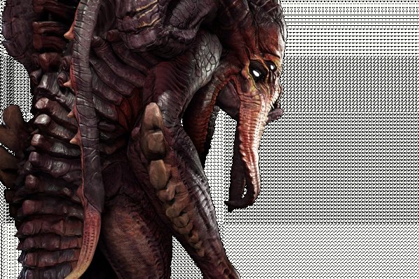 Kraken что это за сайт